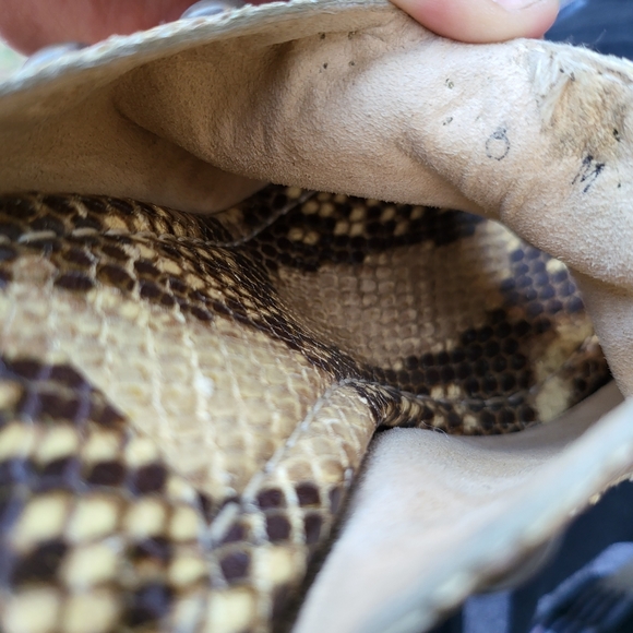Patent Leather Snake Skin Pint Stuart Weizmann Slides - Picture 6 of 7